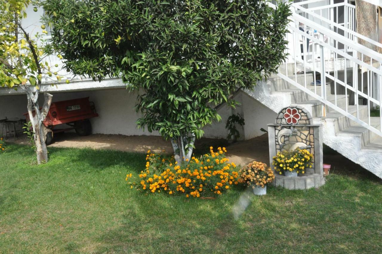 Despina Apartment Керамоті Екстер'єр фото